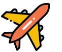 Airline Icon